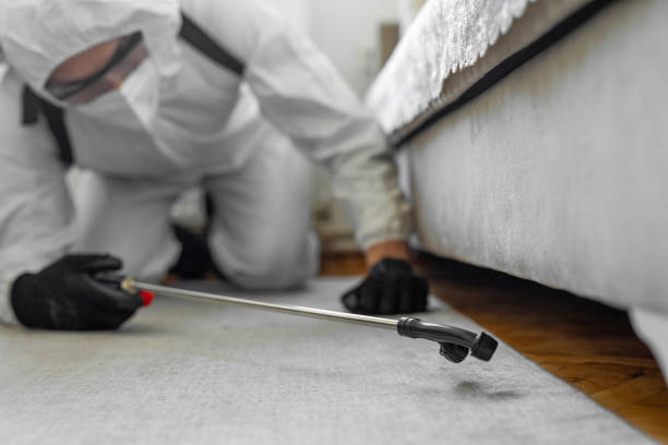Professional Bed Bug Control technician working in Benton County County, IA
